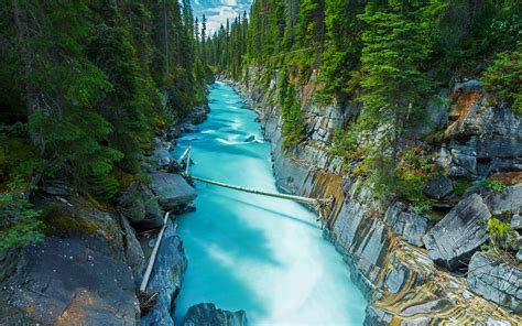 1920x1200 Nature Landscape Canada Forest River Rock Water Green Trees