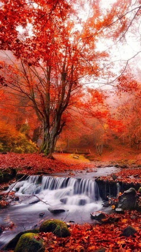Waterfall In The Fall Beautifulnature Naturephotography Nature