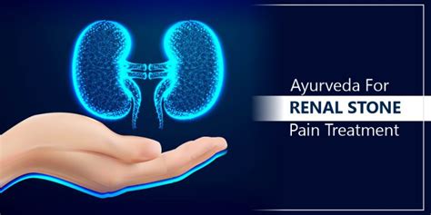Ayurvedic Renal Stone Pain Treatment Shuddhi