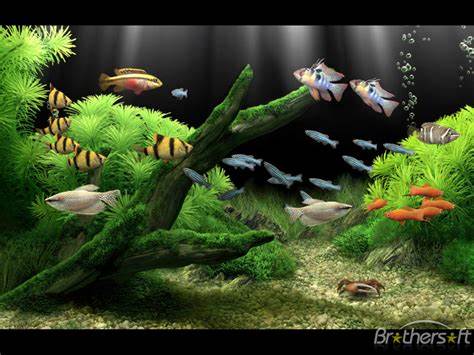 Download Free Dream Aquarium Screensaver, Dream Aquarium Screensaver 1 