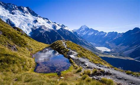 17 reasons why new zealand is better than australia