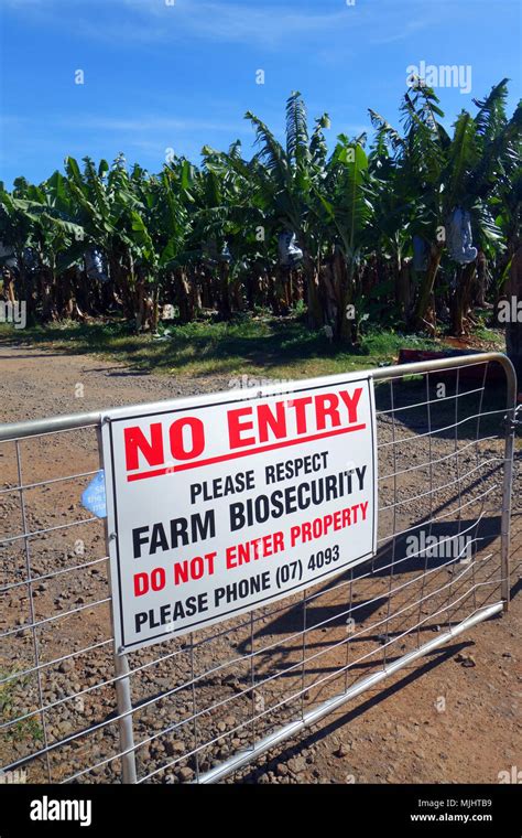 Biosecurity Farm Australia Hi Res Stock Photography And Images Alamy