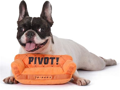Friends Tv Show Orange Sofa Pivot Dog Toy