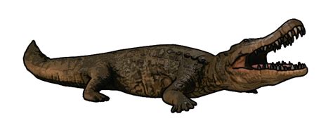 Sarcosuchus Orion Dino Horde Wiki Fandom Powered By Wikia