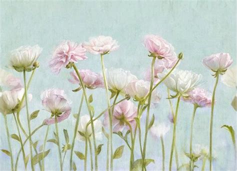 Mint Green Floral Wallpaper Poetsie Pink White Flower Wall Mural Art