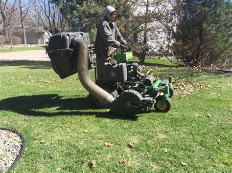 Spring Lawn Clean Up