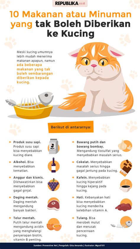 10 Makanan Atau Minuman Yang Tak Boleh Diberikan Ke Kucing Republika