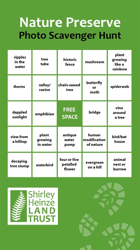 Nature Bingo Scavenger Hunt Shirley Heinze Land Trust