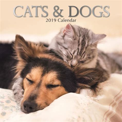 Cats And Dogs Calendar 2019 Antic Exlibris