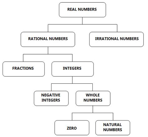 Types Of Real Numbers And Their Significance