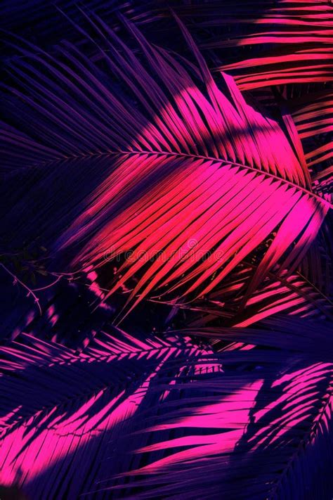 Photo Of Palm Leaves In Neon Lighting Stock Image Image Of Artistic