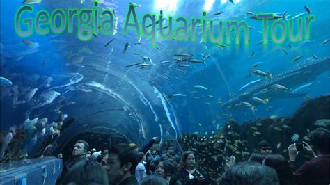 Georgia Aquarium Tour Best Aquarium In The Nation Youtube