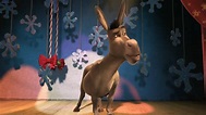 Donkey's Caroling Christmas-tacular (2010) - YouTube