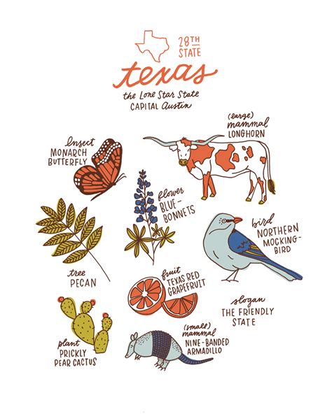 Texas State Symbols