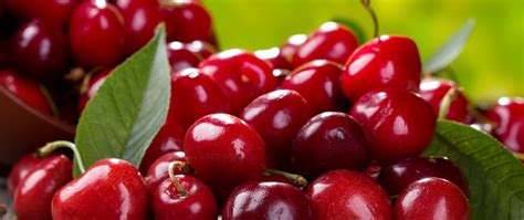 Start dropshipping pet supplies from reliable suppliers. Cherry Pet Food ingredient Suppliers | Buy in Bulk ...