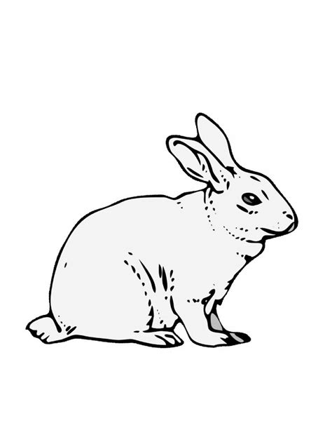 Bunny Rabbit Coloring Page That Are Monster Tristan Website