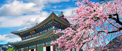 South Korea Budget Travel Guide Updated 2024