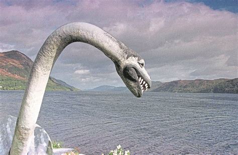 Fossil Find Tantalizes Loch Ness Monster Fans Hardwarezone Forums