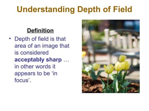 Understanding Depth Of Field And Shutter Speeds Ppt