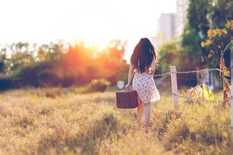 무료 이미지 잔디 소녀 여자 일몰 들 사진술 목초지 햇빛 아침 꽃 가을 로맨스 바구니 의식 방문자 뒷모습 오후 타 도시 코너 밖으로가는