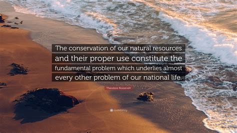 Theodore Roosevelt Quote “the Conservation Of Our Natural Resources