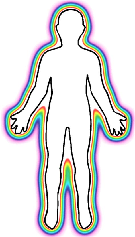 Outline Human Body Body Scan Clip Art Png Download Full Size