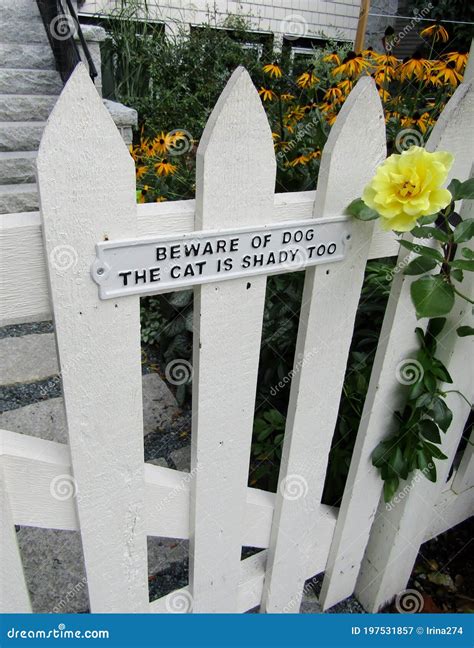 Beware Of Dog The Cat Is Shady Too Sign On White Wooden Entrance Gate