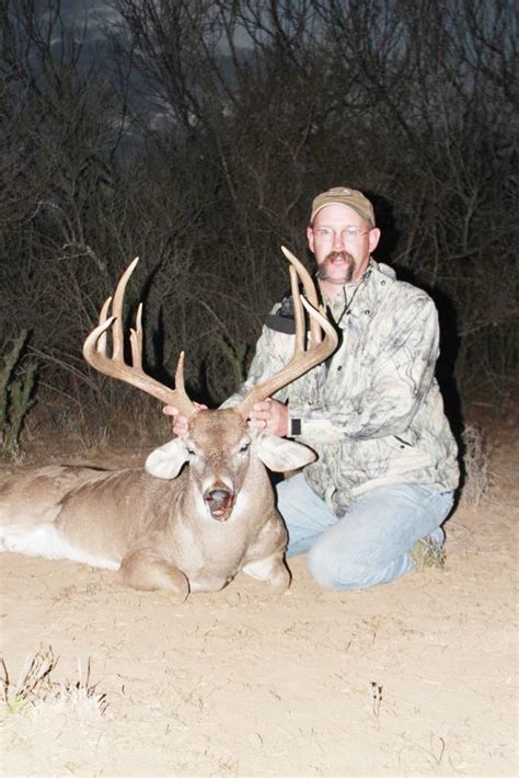 How To Age Whitetail Deer In The Field