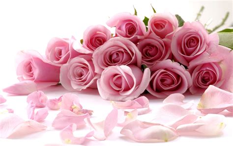 Romantic Bouquet Of Pink Roses Wallpaper 2560x1600 Resolution