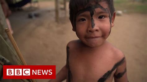 amazon rainforest indigenous people in fight for survival bbc news youtube