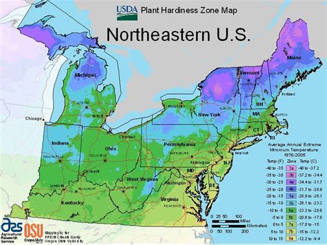 Find Your Usda Plant Hardiness Zone With These State Maps Plant