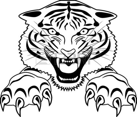 Tiger Outline Drawing At Getdrawings Free Download