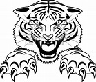 Tiger Outline Drawing at GetDrawings | Free download
