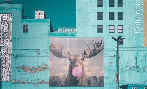 22 Chicago Murals And Legendary Street Art To See Right Now