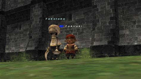 Puppetmaster What Works And What Doesnt Nasomi Community Ffxi Server