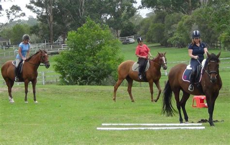 Pictures Working Equitation Australia Sandford Park Equestrian