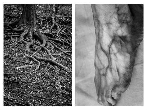 Photos That Show Similarities Between The Human Body And Nature Odd