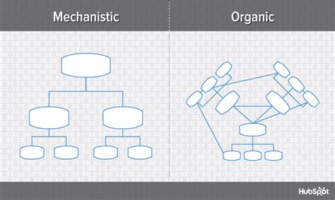 The Pros And Cons Of 7 Popular Organizational Structures