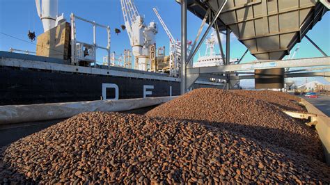 Report More Than Countries Depend On Commodity Exports African