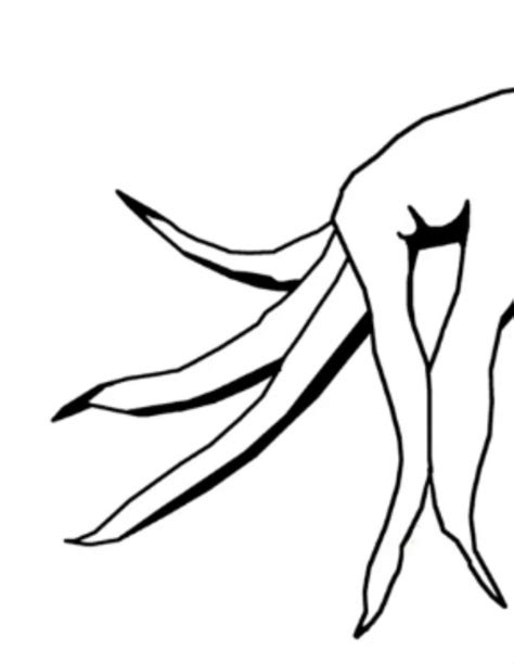 A Black And White Drawing Of A Woman Bending Over With Her Legs Spread