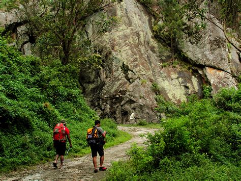 Sri Lanka Trekking And Hiking Tours Scenic Tea Estate And Mountain