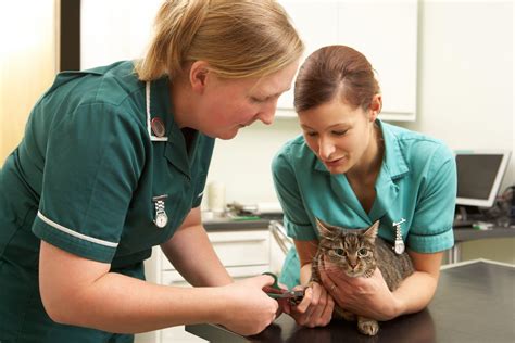 Teaching and Coaching in Veterinary Practice - ONCORE