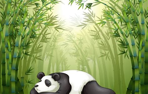 Photo Wallpaper Stay Sleep Panda Weed The Bamboo Bamboo Forest