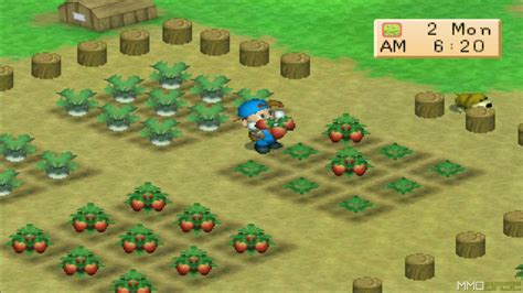 Check spelling or type a new query. Cara Mendapatkan Bibit Langka di Harvest Moon: Back to Nature