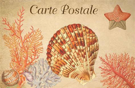 Vintage Art Postcard Seashell Free Stock Photo Public Domain Pictures