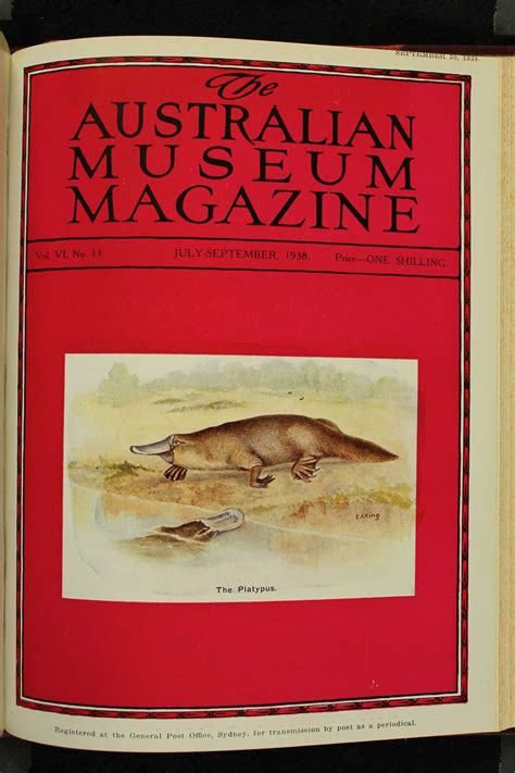 Australian Museum Magazine The White Platypus Illustrator Ethel King