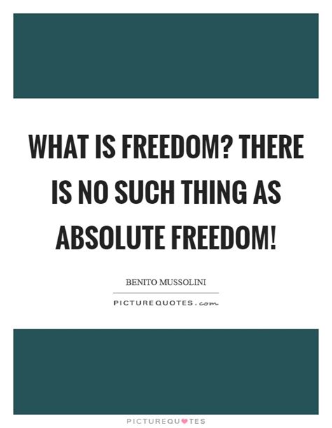What Is Freedom There Is No Such Thing As Absolute Freedom Picture Quotes