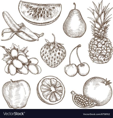 Fruit Drawings