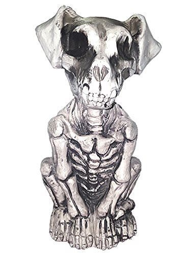 Wdnm halloween skeleton decoration, full size animal dog bones skeletons for halloween party, indoor outdoor graveyard haunted house decor props (a). Dog Skeleton Drawing at PaintingValley.com | Explore ...