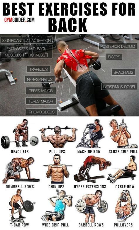 The Only Back Workout You Need For That Perfect Back Workout